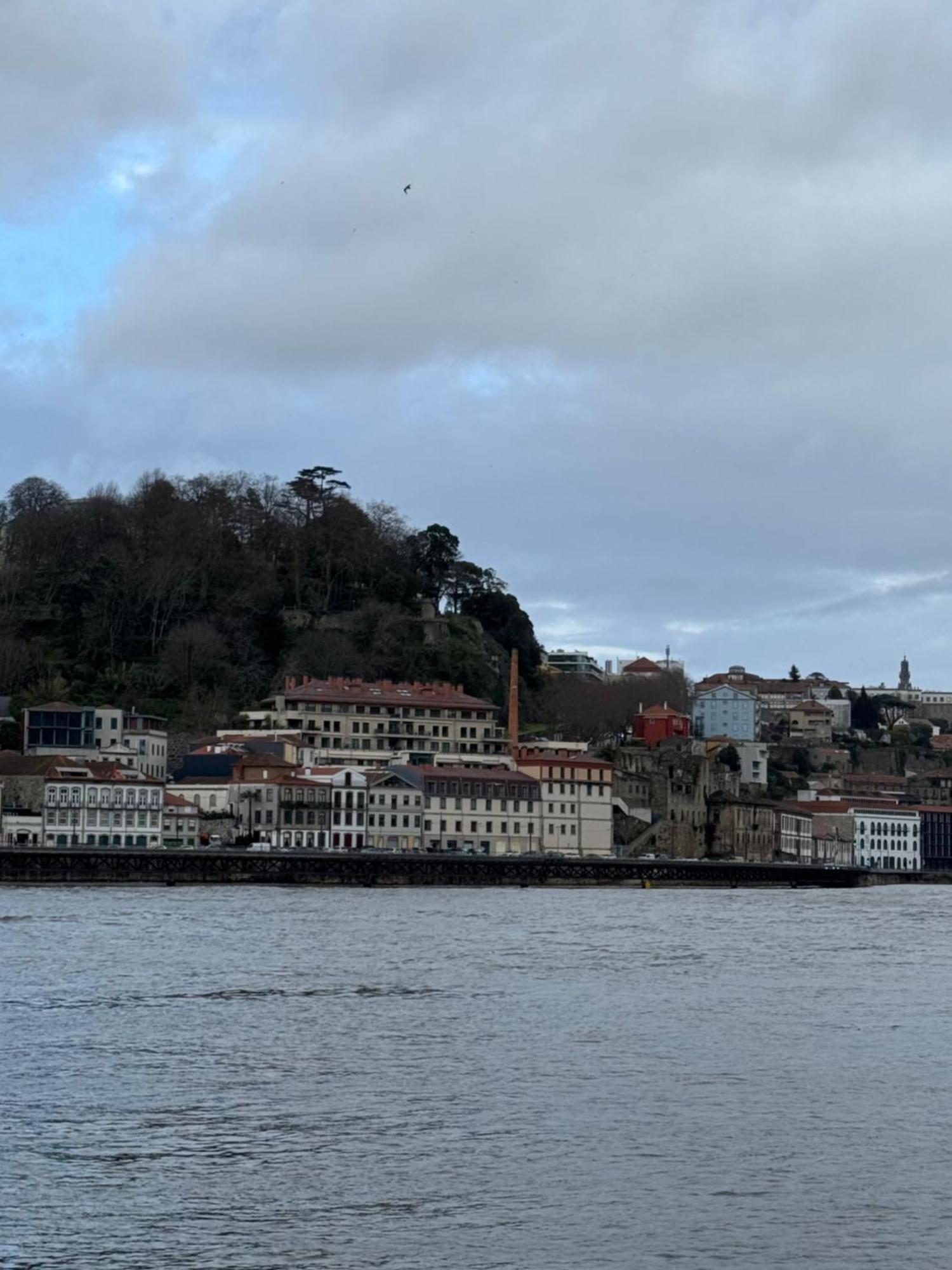 Amazing Studio Douro River Views Porto Exterior photo